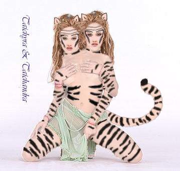 Twin Tigresses2